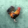 糖logo官方网站在线观看最新版